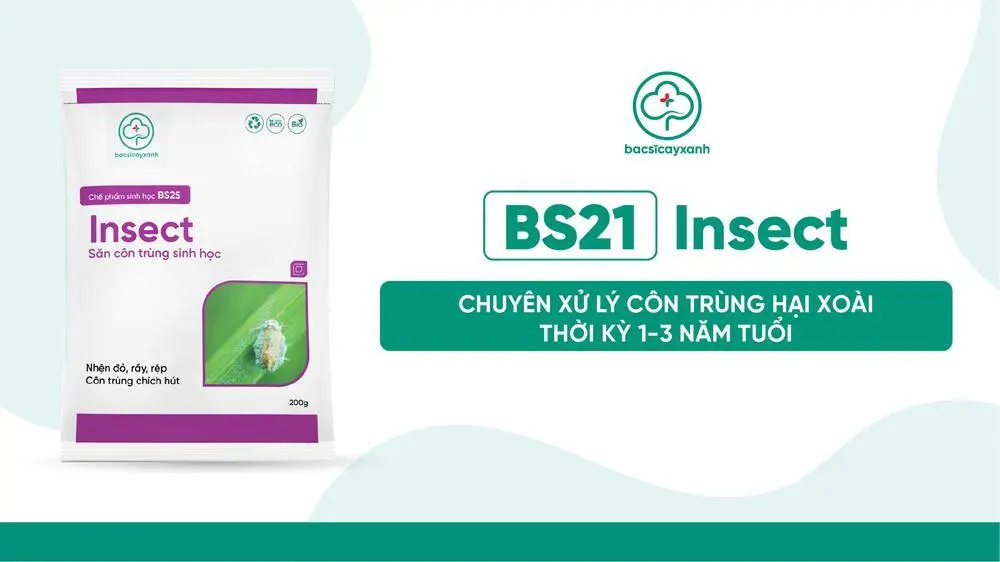 BS25 - Insect chuyên xử lý côn trùng hại xoài thời kỳ 1 - 3 năm tuổi